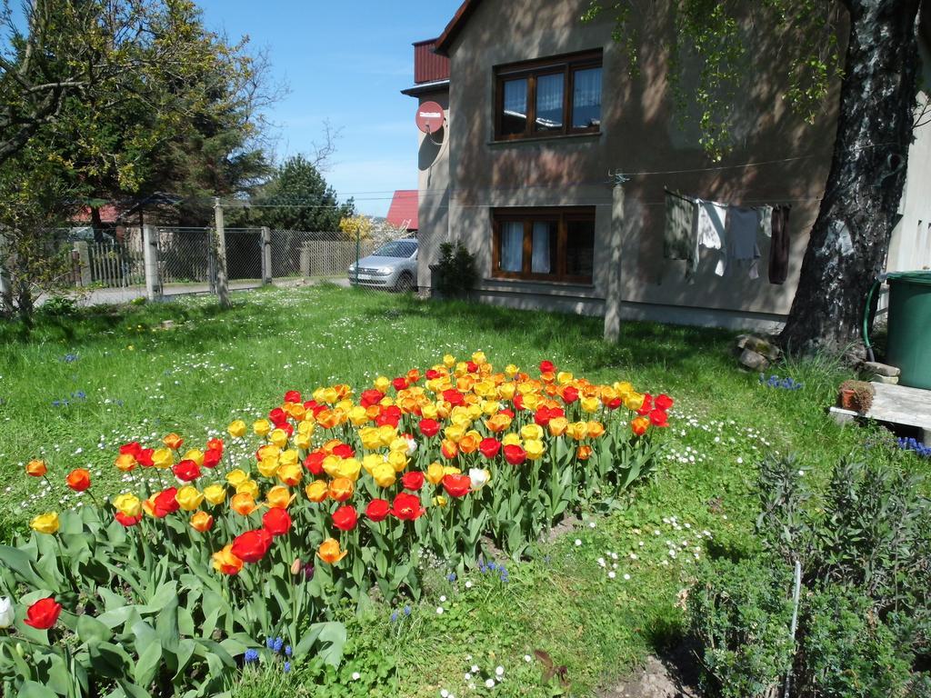 Ferienwohnung Wawrok Пирна Екстериор снимка